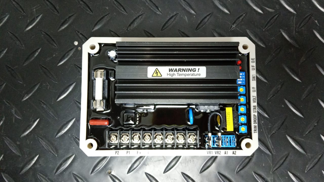 Regulador De Voltaje AVR EA16A - Imagen 5