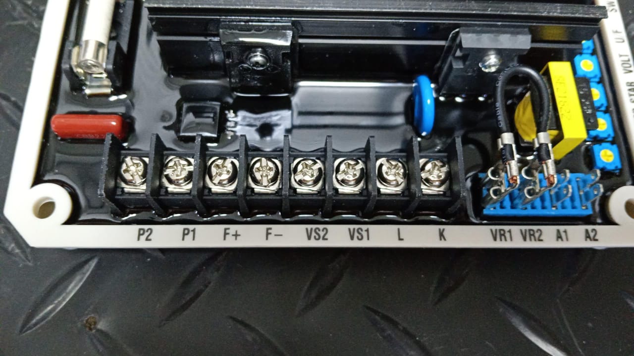 Regulador De Voltaje AVR EA16A - Imagen 4